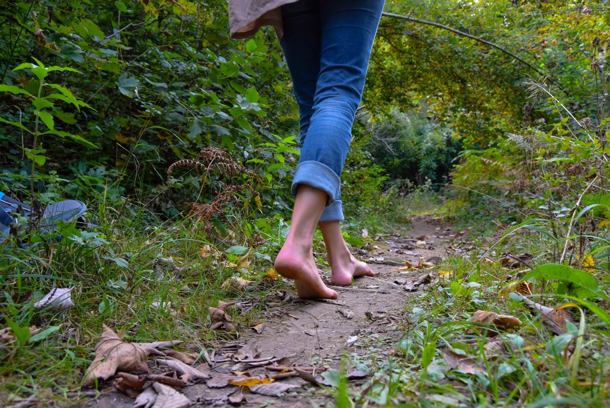 Person walking along a tree-lined path outdoors